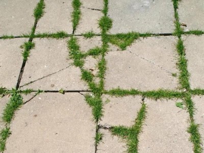 Профессиональная техника борьбы с газонами на тротуарах: опытный подход